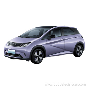 Pure electric vehicle BYD Dolphin